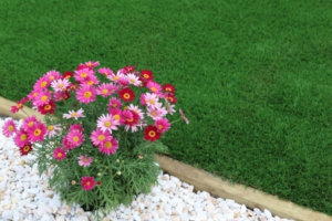 5-reasons-why-replacing-your-lawn-with-artificial-turf-is-a-good-idea