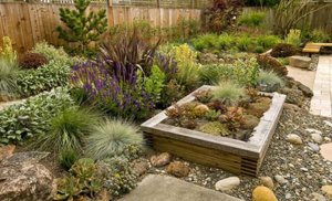 Types of Plants for Easy Maintenance of Your Backyard Landscaping